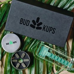 pax budkups plus box