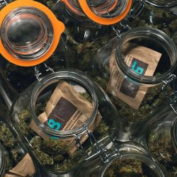 boveda 62% 67 gram humidity pack