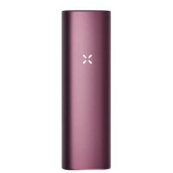 elderberry pax plus vaporizer